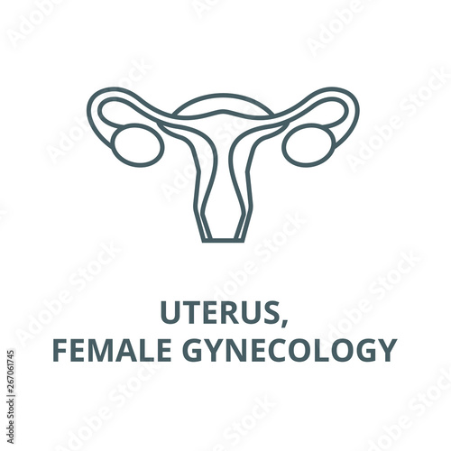 Uterus,female gynecology vector line icon, outline concept, linear sign