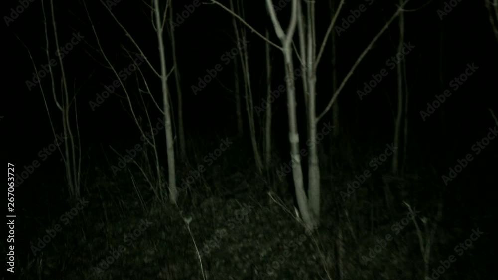POV steadicam running through dark spooky forest at night. Running away and escaping from scary monsters through the forest, with tree branches all around. Someone is chasing and you're getting away.
