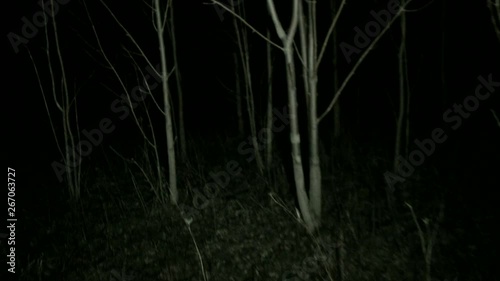 POV steadicam running through dark spooky forest at night. Running away and escaping from scary monsters through the forest, with tree branches all around. Someone is chasing and you're getting away.