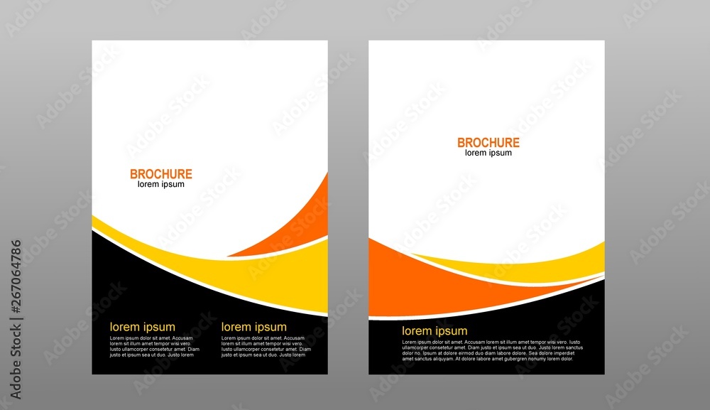 Fototapeta premium modern brochure design with two choices