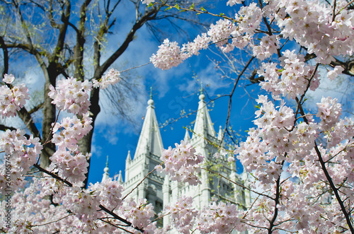 The back side of the salt lake city temple from the temple park in the spring sun. 