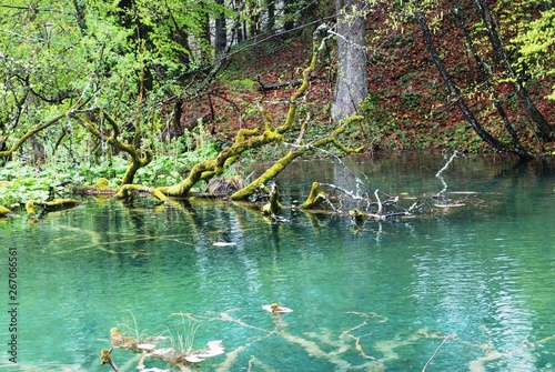Fototapeta Naklejka Na Ścianę i Meble -  parco nazionale di Plitvica. Croazia