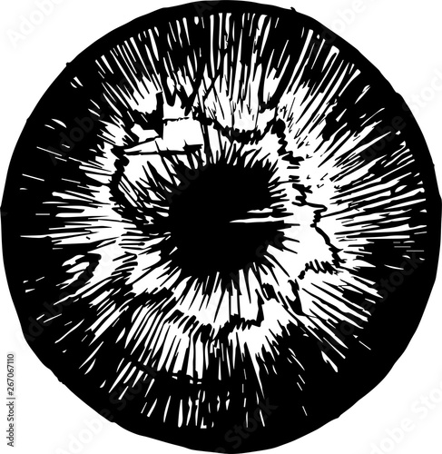 Black-white illustration of the iris of the eye in the technique of hatching. A tattoo idea.