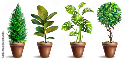 Wallpaper Mural Set of potted houseplants. Garden potted plants. Decorative houseplant. Vector illustration. Torontodigital.ca