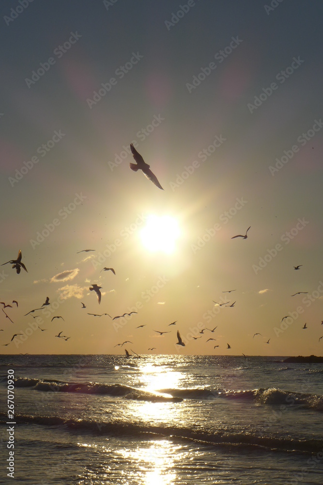 Obraz premium Freedom