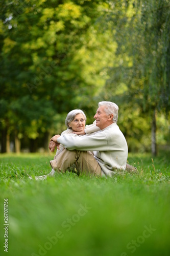Portrait of elderly couple sitting on green grass in the summer park