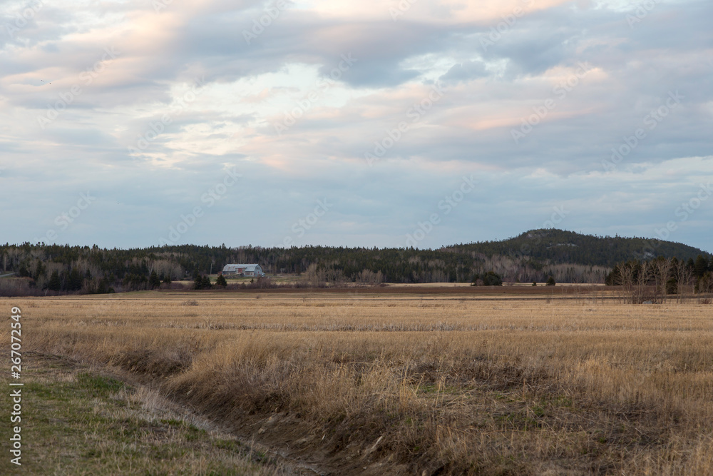 Dry fields and old barn seen in the distance during a beautiful spring evening, Cacouna, Quebec, Canada
