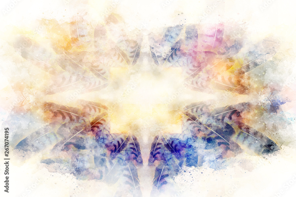 Obraz premium Decorative multicolor feather pattern on abstract background.