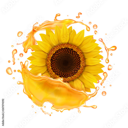 Sunflower oil realistic splash. Vector illustration