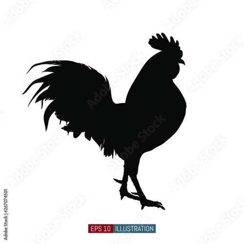 Rooster silhouette isolated. Vector illustration. Template for your design works.