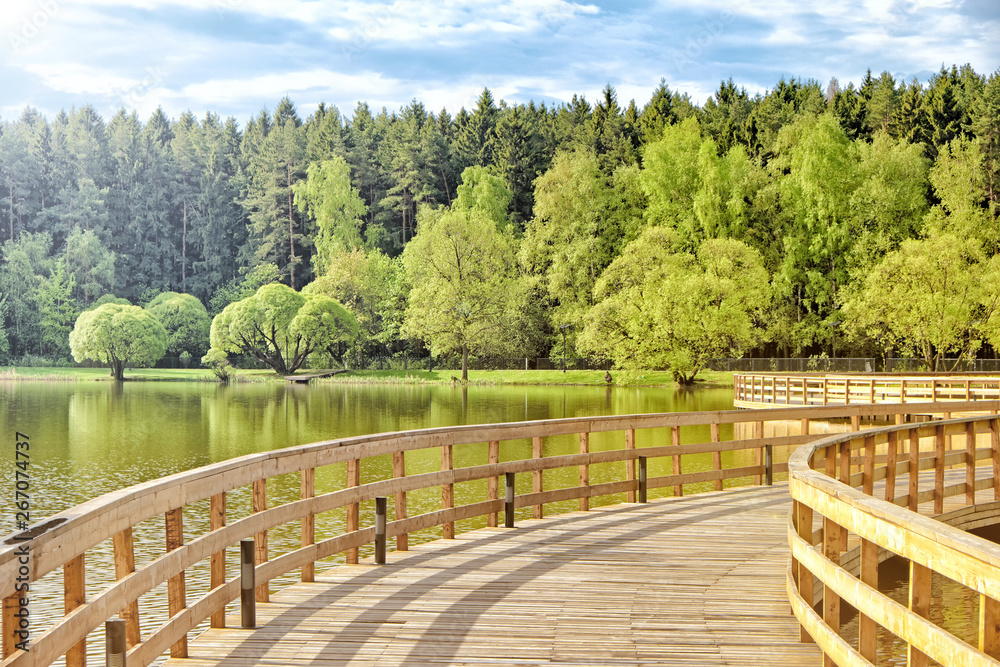 green forest and pond at city park on spring sunny day against clouds blue sky background landscape view of wooden path on water of lake with beautiful trees reflection nature outdoor concept