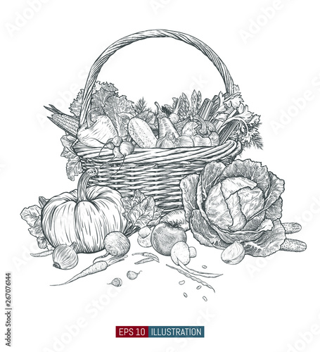 Hand drawn fresh vegetables in wicker basket. Template for your design works. Engraved style vector illustration.