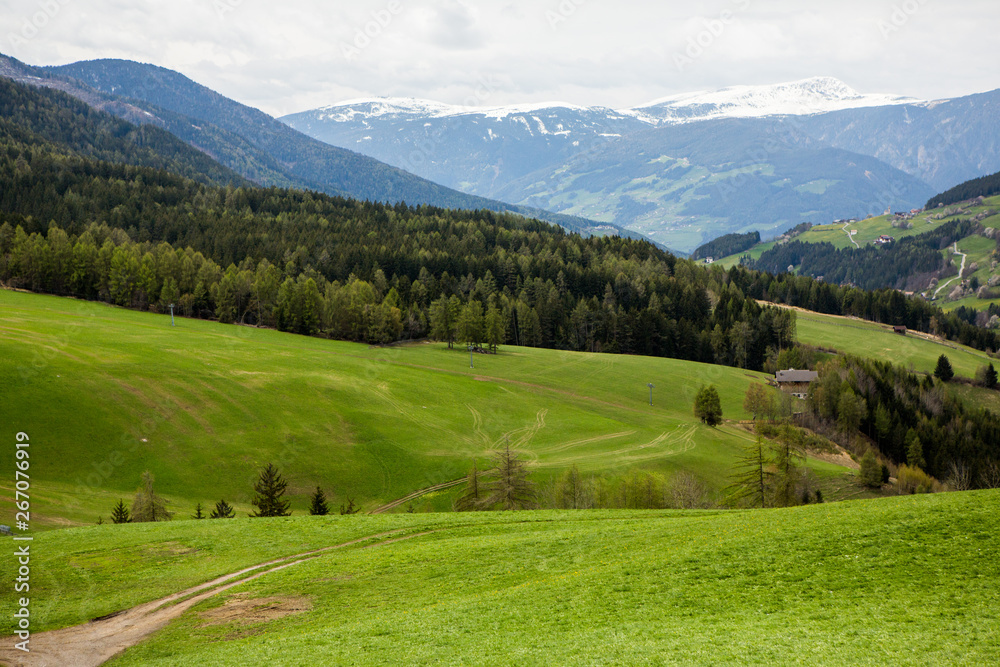 Obraz premium Beautiful mountain scenery in the Alps with fresh green meadows in bloom on a beautiful sunny day in springtime. Dolomiti montains in Italy. Landscape in spring in Europe.