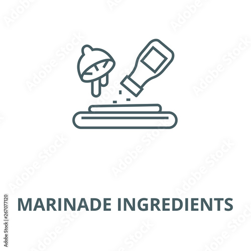 Marinade ingredients vector line icon, outline concept, linear sign