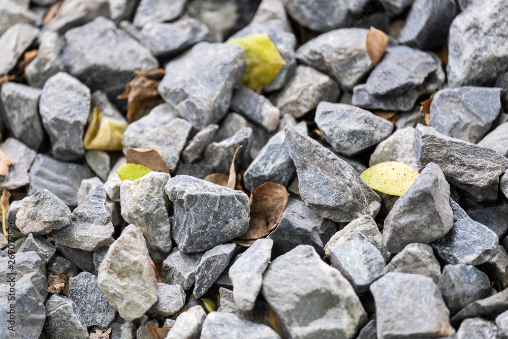Close Up of Stone Ground in the Outdoor Garden Close Up of Stone Ground in the Outdoor Garden