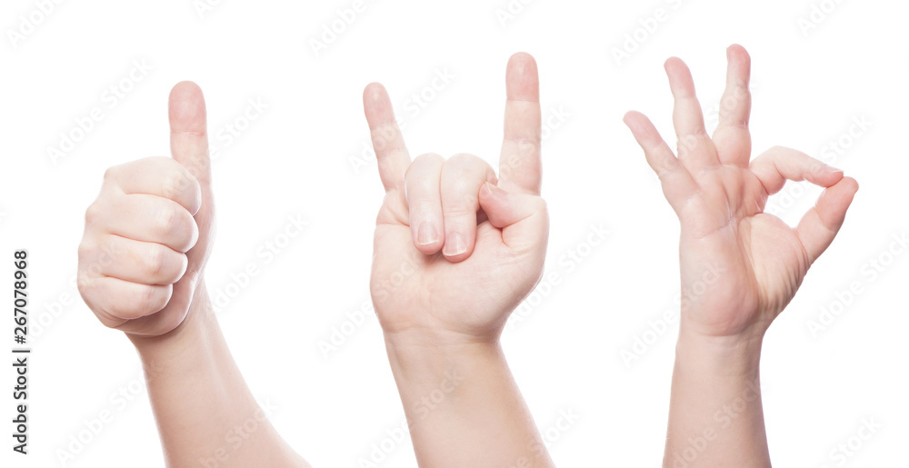 hand gesture set - thumbs up - sign of the horns - ok hand gesture set - thumbs up - sign of the horns - ok