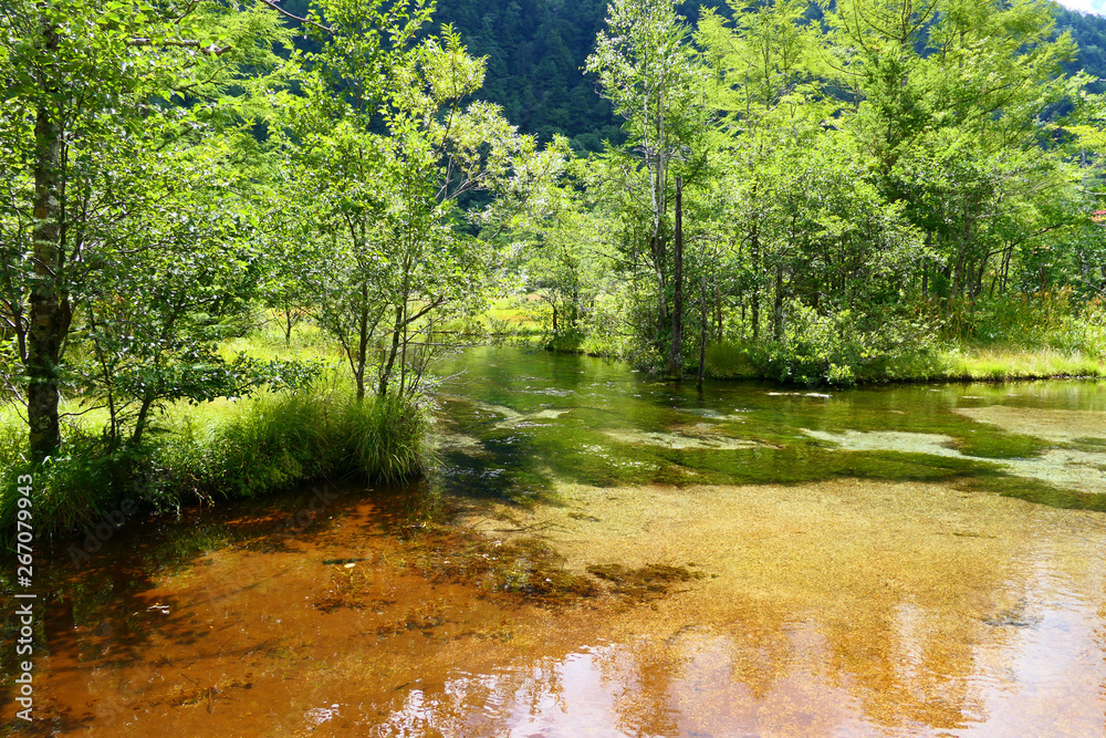 Obraz premium 中部山岳国立公園。上高地の景勝地、田代池。松本 長野 日本。８月下旬。