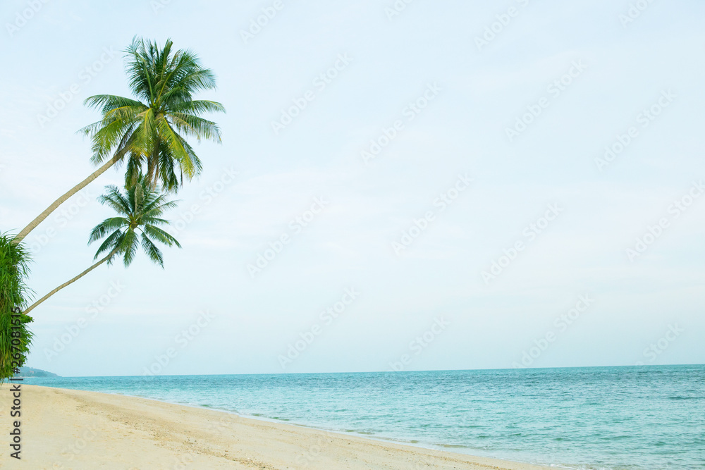 Beautiful beach with coconut palm trees.