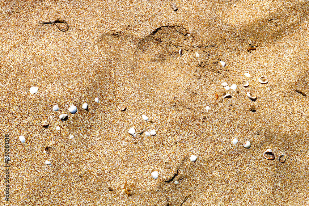 Sand texture. Abstract background of the sand. Sand texture. Abstract background of the sand.