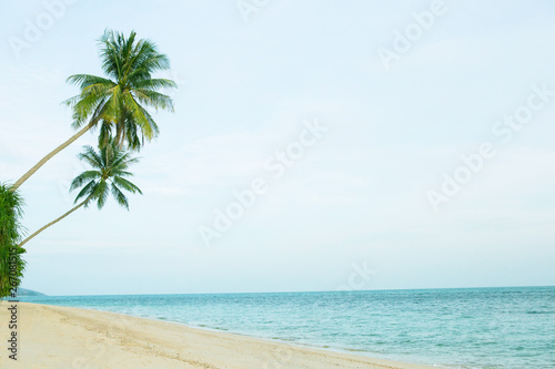 Fototapeta Naklejka Na Ścianę i Meble -  Beautiful beach with coconut palm trees.