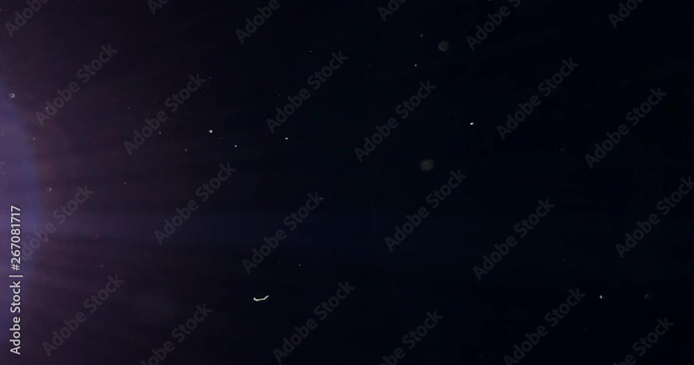 Natural Dust Particles Moving From Right