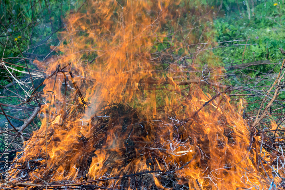 Bush on fire outdoor. Burning dry grass. Fire and smoke. background conceptual Dangerous fires and smokes Bush on fire outdoor. Burning dry grass. Fire and smoke. background conceptual Dangerous fires and smokes