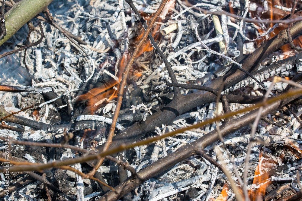 Bush on fire outdoor. Burning dry grass. Fire and smoke. background conceptual Dangerous fires and smokes Bush on fire outdoor. Burning dry grass. Fire and smoke. background conceptual Dangerous fires and smokes