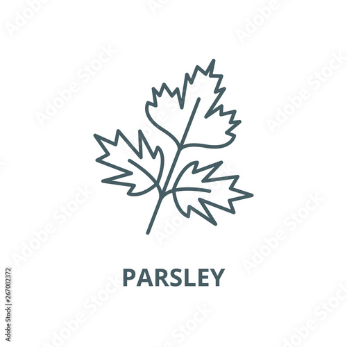 Parsley vector line icon, outline concept, linear sign