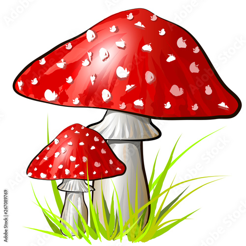 Cartoon amanita mushroom. Vector illustration.