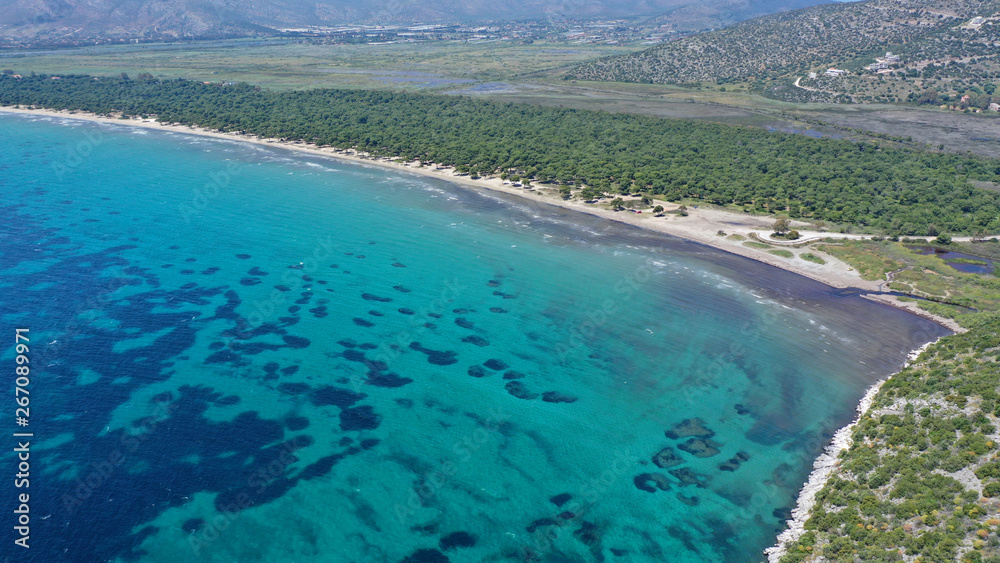 Aerial bird's eye view photo taken by drone of tropical seascape and sandy beach with turquoise clear waters and pine trees