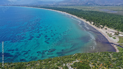 Aerial bird's eye view photo taken by drone of tropical seascape and sandy beach with turquoise clear waters and pine trees