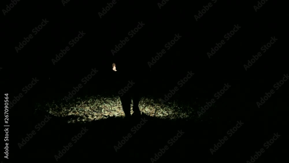 Walking through forest searching with flashlightMan searching through woods with light, trying to find someone or something.