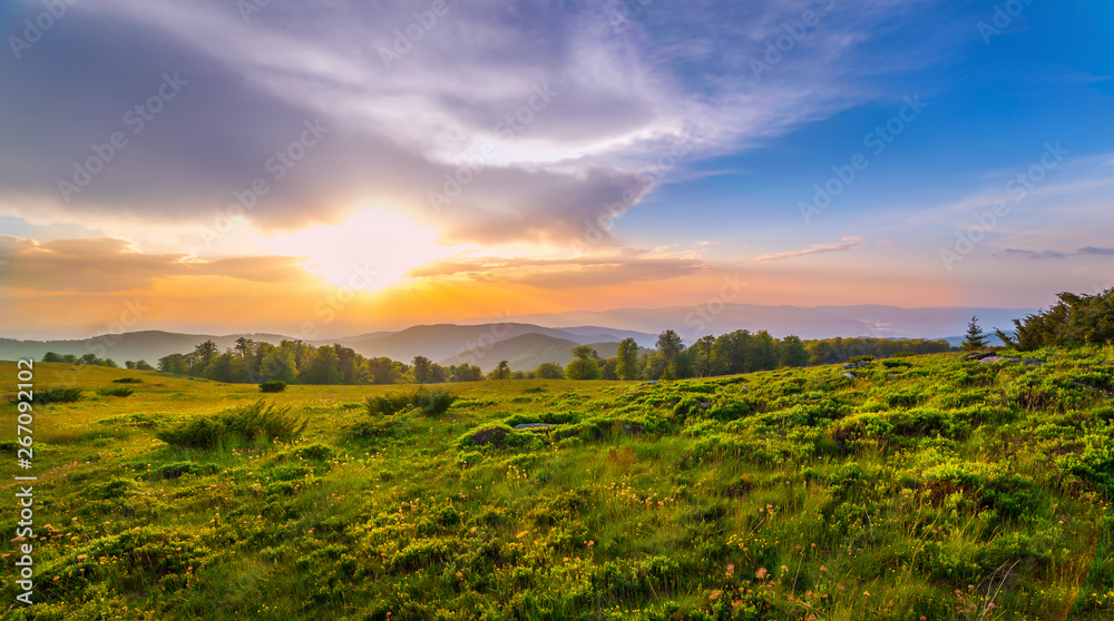 Sunset over green field