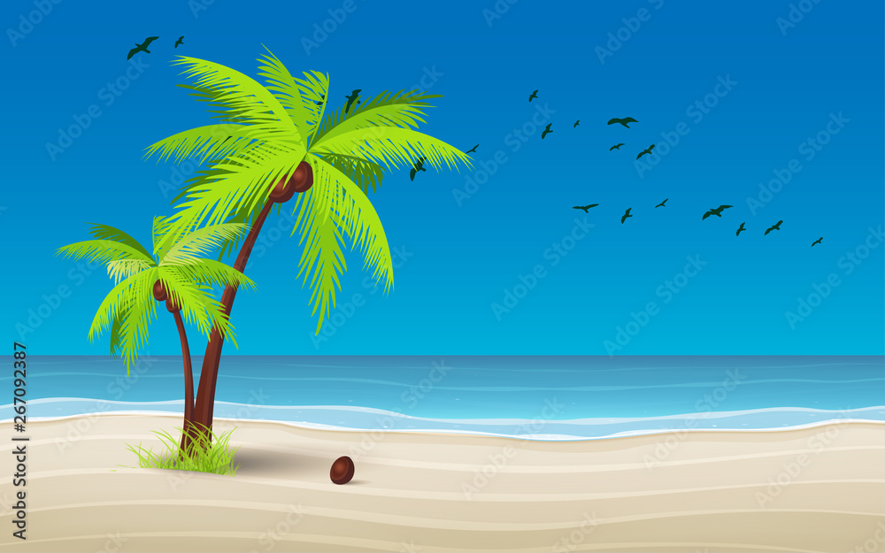 landscape of coconut tree and the beach in daytime