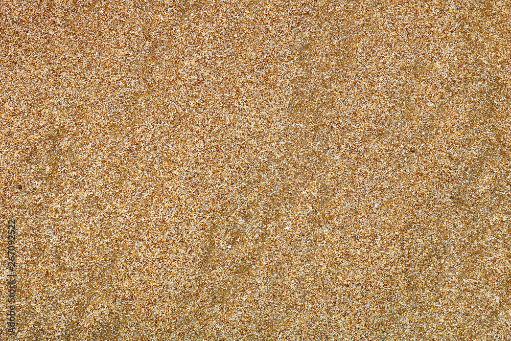 Sand texture. Abstract background of the sand. Sand texture. Abstract background of the sand.