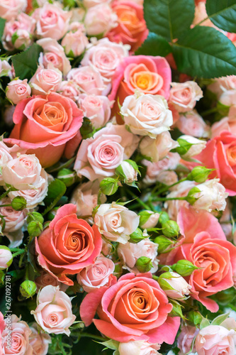 Beautiful fresh red and pink roses. beautiful bouquet of roses. vertical photo © jollier_