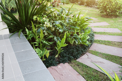 Fototapeta Naklejka Na Ścianę i Meble -  Idea of Stone and cement tile design for paving walkway in the garden. Design And Decorative Garden.