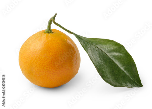 Плод мандарин на белом фоне, сохраненный обтравочный контур Mandarin fruit on a white background, saved clipping path