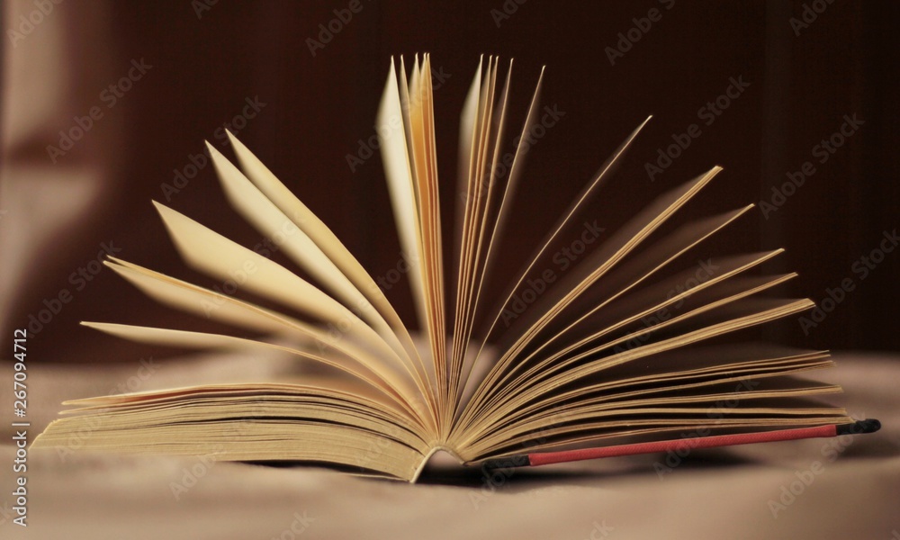 Fototapeta premium Moving pages in an open book.