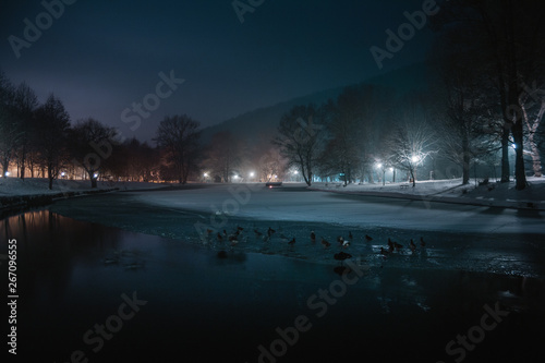 frozen lake at night  © Vladislav
