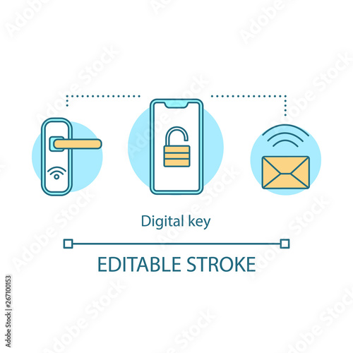 Digital key concept icon