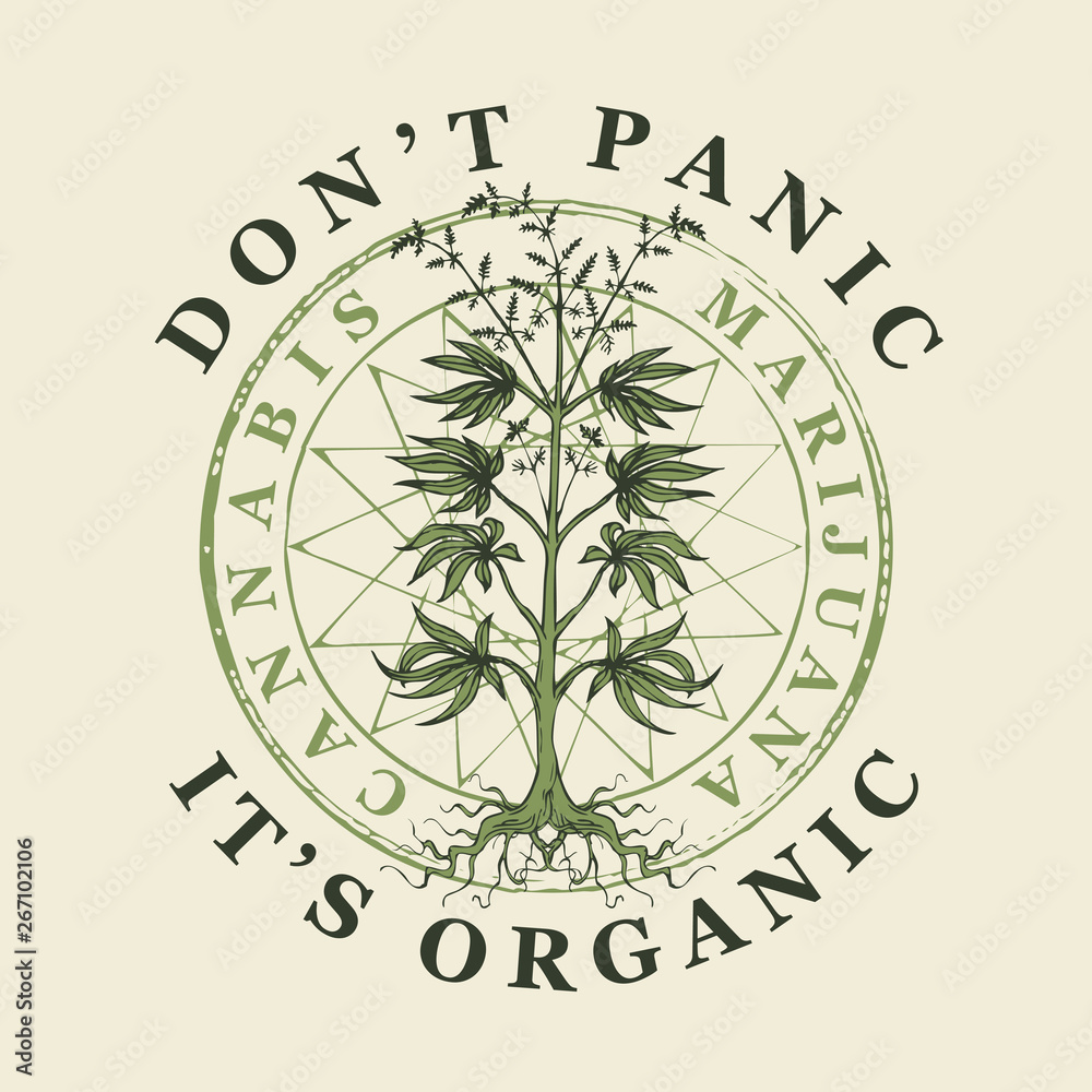 Vector banner for legalize marijuana with words Do not panic, it is organic. Illustration with hand-drawn cannabis plant. Hemp, Cannabis or marijuana, medicinal plant. Smoking weed.