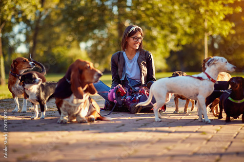 Photography Walking dogs - woman dog walker enjoying with dogs.
