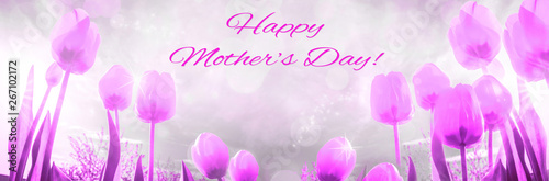 Spring summer composition with flowers of yellow tulips. Flowers against the blue sky, the concept of the spring summer season. March 8, mother's day. Copy space. long banner greeting card