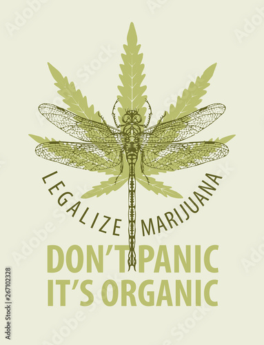 Vector banner for legalize marijuana with words Do not panic, it is organic. Illustration with cannabis leaf and dragonfly. Natural product of organic hemp, medicinal plant. Smoke weed.