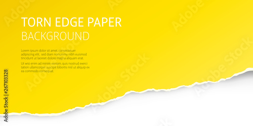 Torn edge paper yellow background. Page or card vector template.