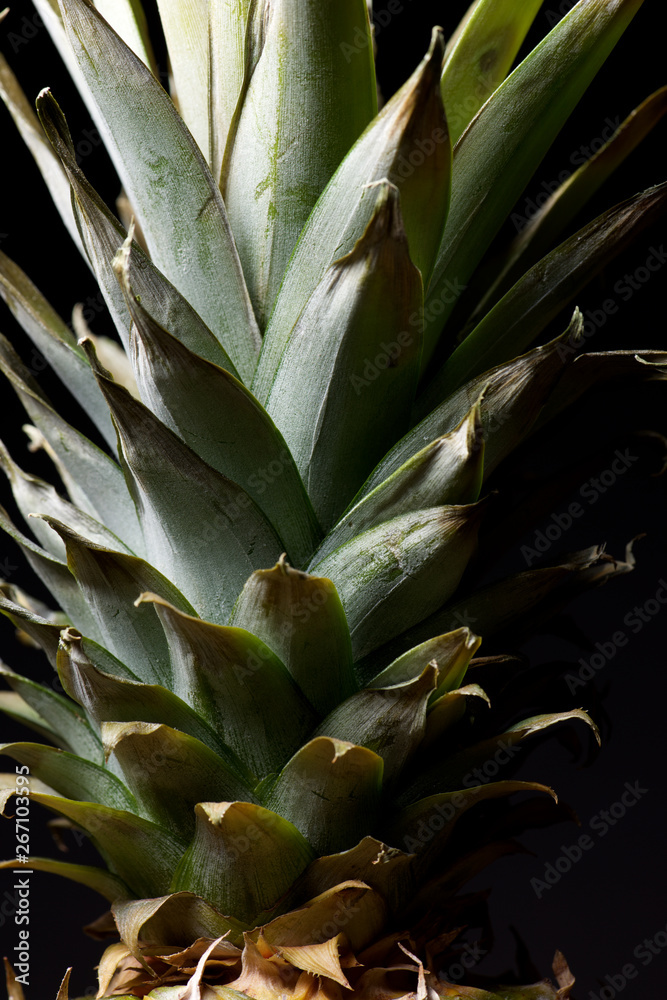 Obraz premium Pineapple close up