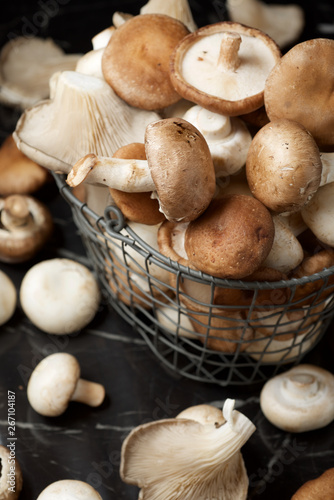 Mushrooms close up