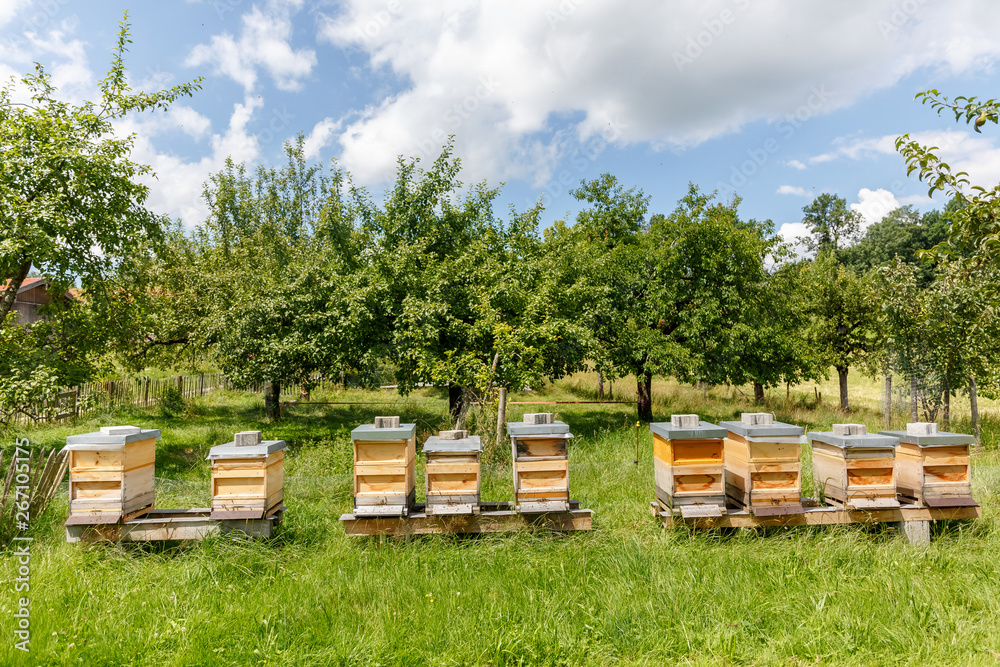 Bienenstock auf der Wiese Stock Photo Adobe Stock