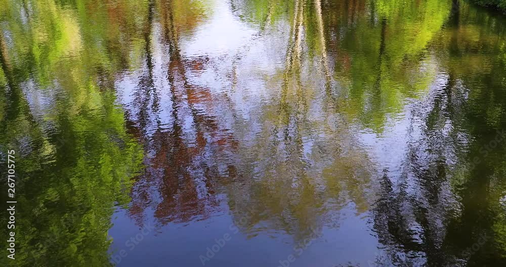 Water river pond lake reflection of trees and park Water river pond lake reflection of trees and park